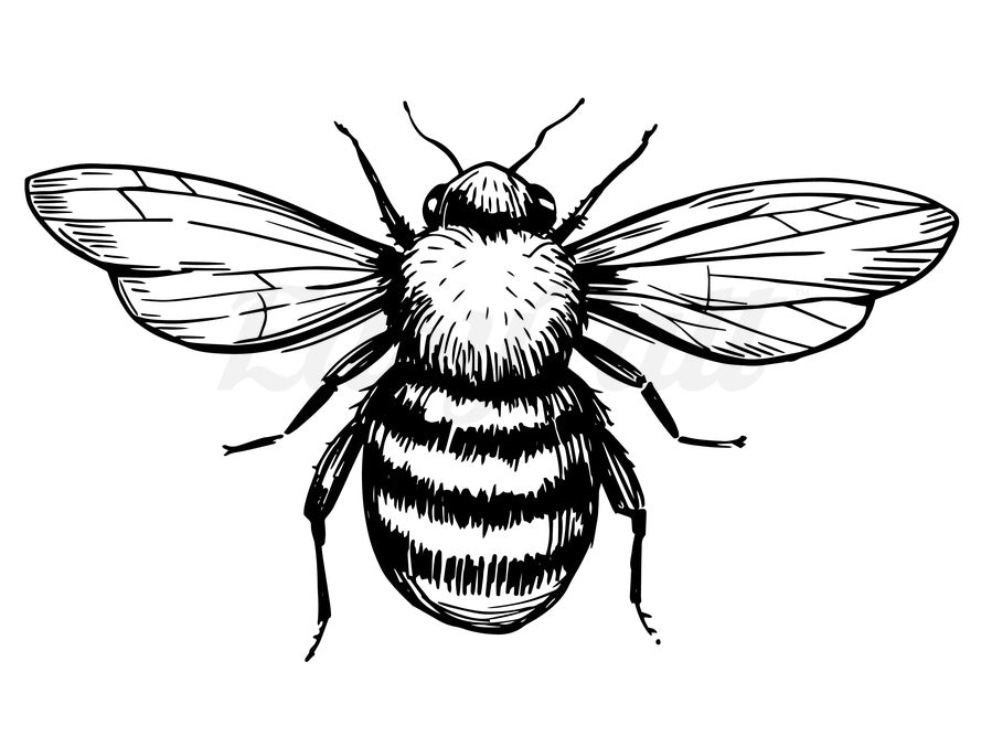 Bee - Temporary Tattoo