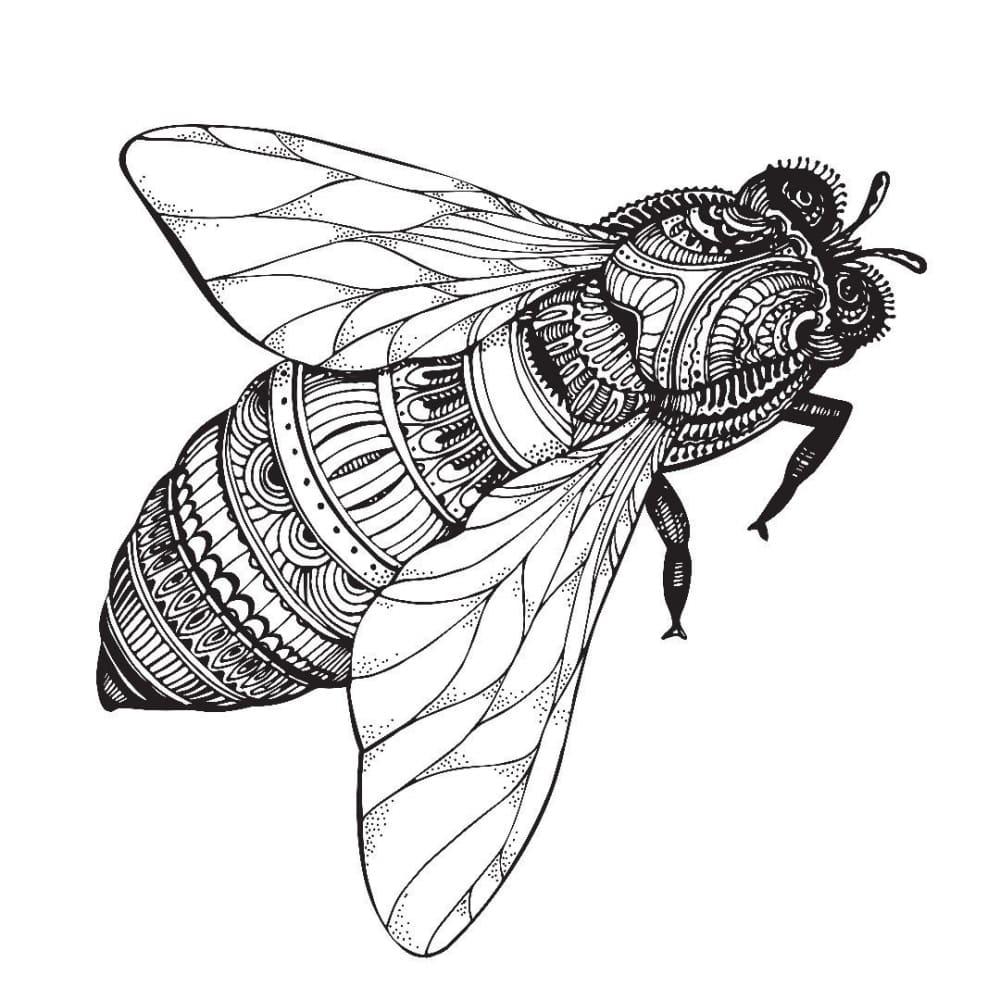 Bee - Free